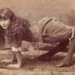 Элла Эванс Харпер Сэйвли (Ella Evans Harper Savely)