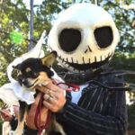 Собачий Хэллоуин: Tompkins Square's Dog Parade 2017